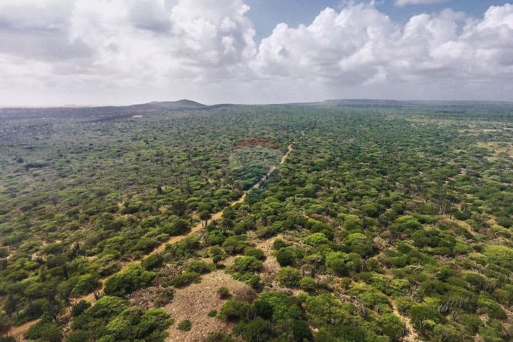 Rare 30-Acre Building Plot in Luga Aleha