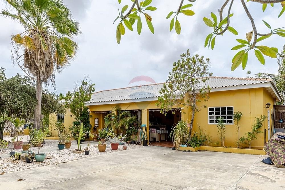 Two Homes Under One Roof